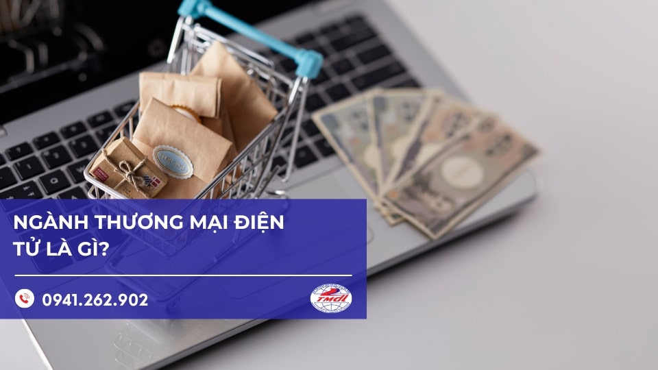 nganh thuong mai dien tu la gi